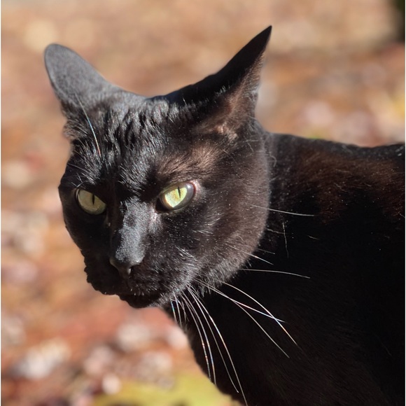 Meet your Posher, Jen - Picture 13 of 14